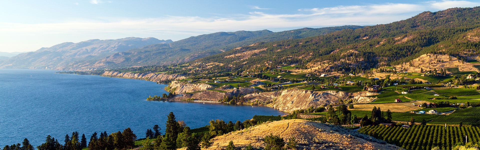 Okanagan Limousine offers winery tours throughout Naramata.